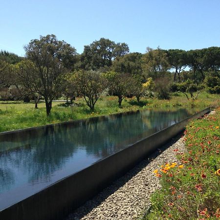 فيلا Quinta Do Miguel ألديا دو ميكو المظهر الخارجي الصورة