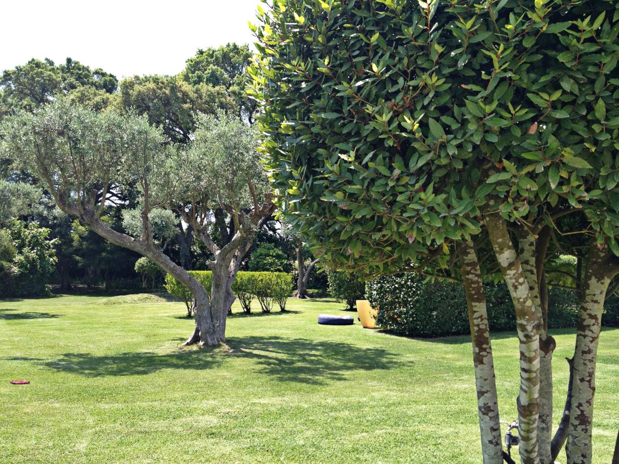 فيلا Quinta Do Miguel ألديا دو ميكو المظهر الخارجي الصورة
