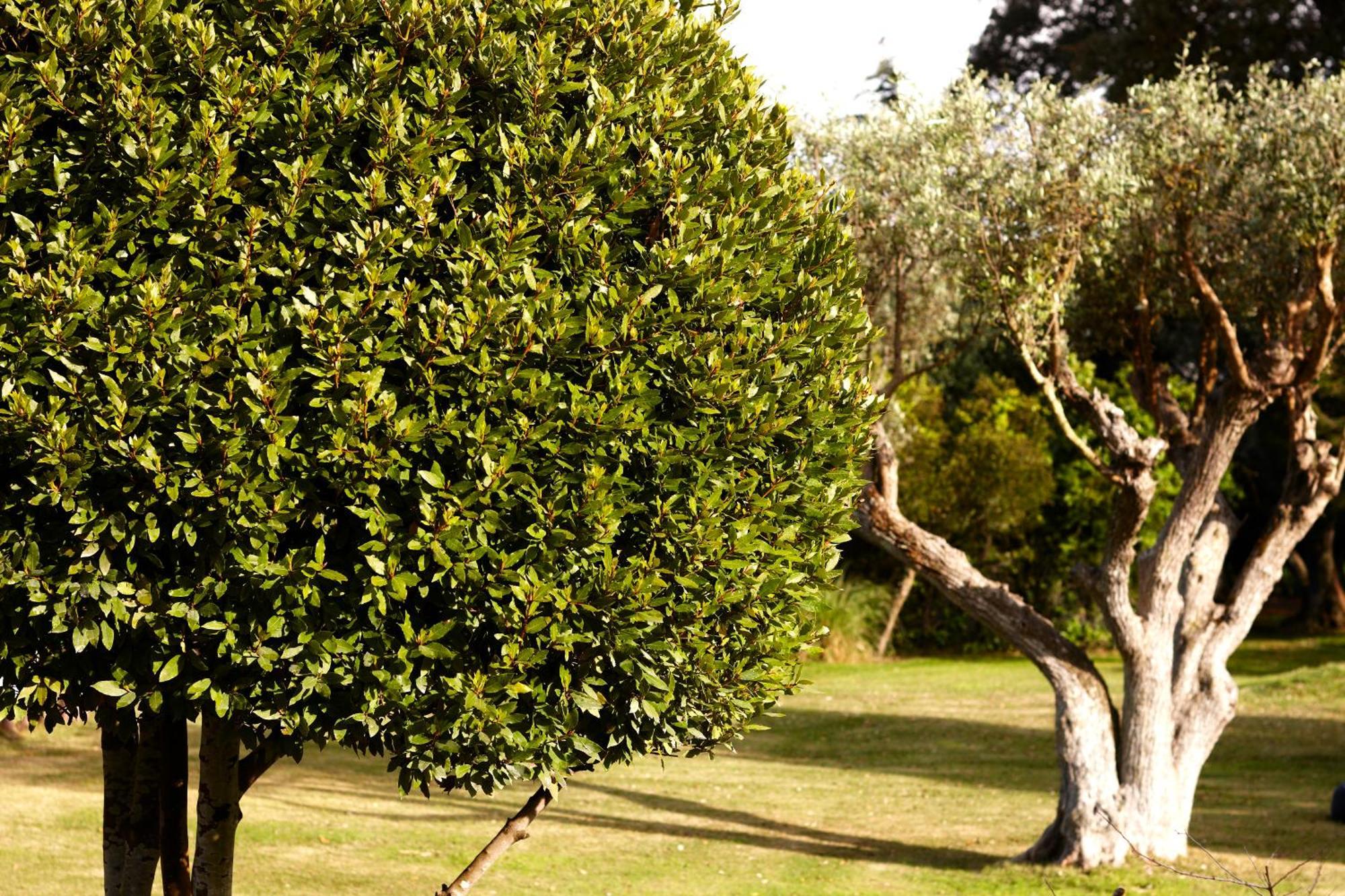فيلا Quinta Do Miguel ألديا دو ميكو المظهر الخارجي الصورة