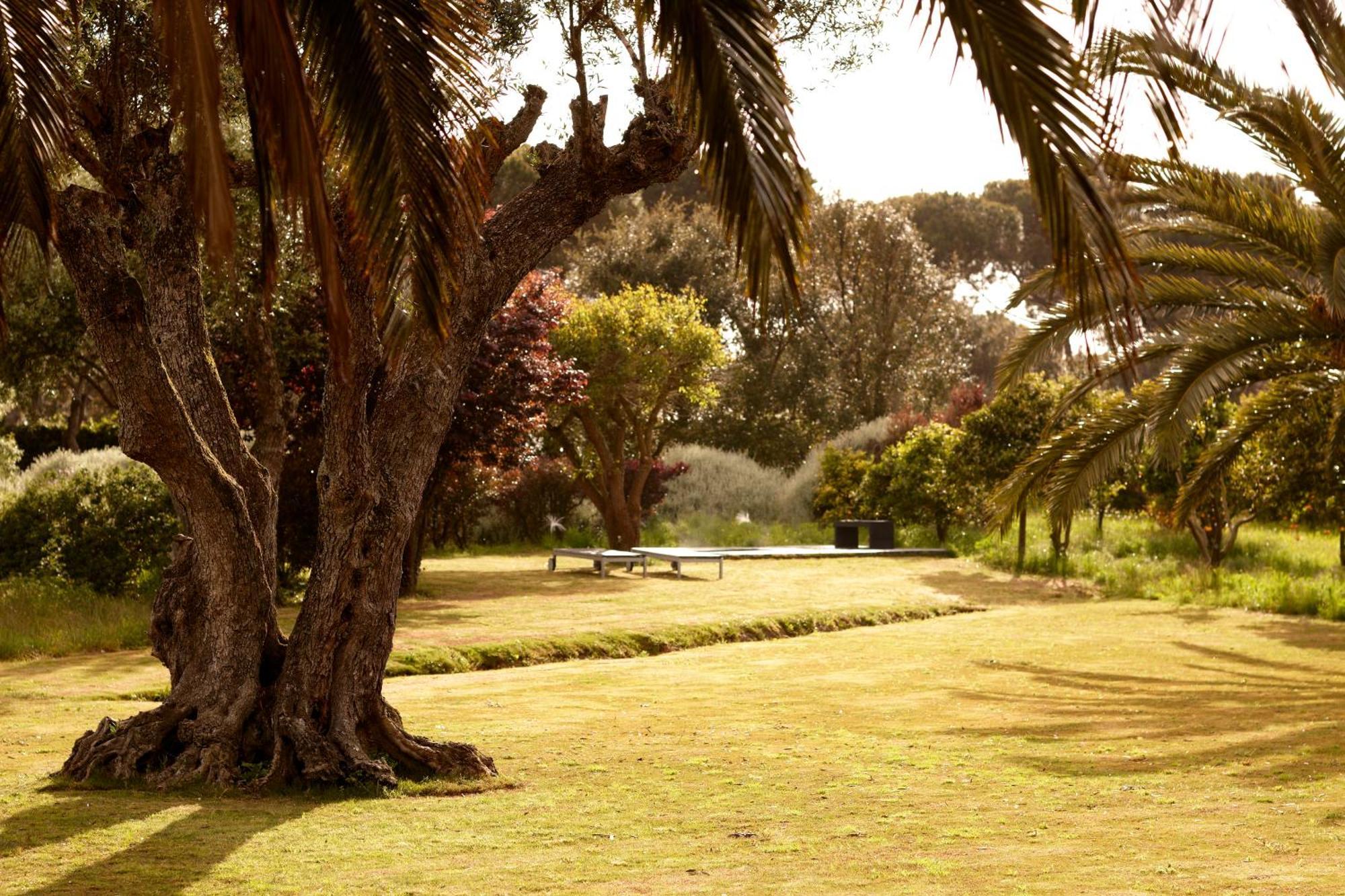 فيلا Quinta Do Miguel ألديا دو ميكو المظهر الخارجي الصورة